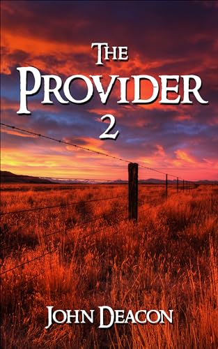 The Provider 2 book cover