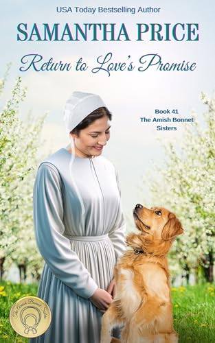 Return to Love's Promise book cover