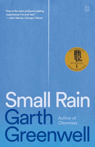 Small Rain book cover
