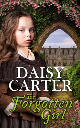 The Forgotten Girl book cover