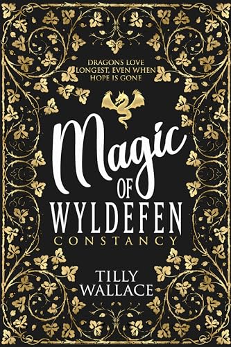 Constancy book cover