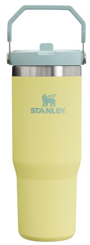 Stanley IceFlow Flip Straw Tumbler with Handle 30 oz | Twist On Lid and Flip Up Straw | Leak Resistant Water Bottle | Insulated Stainless Steel |BPA-Free | Pomelo