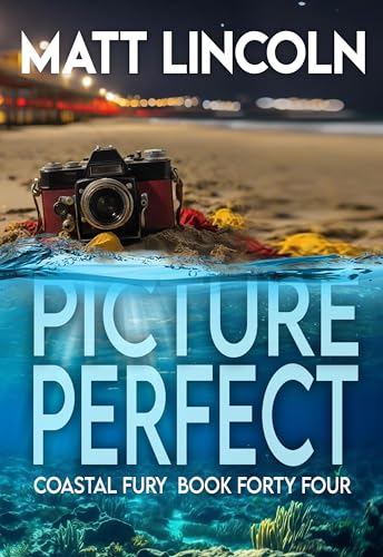 Picture Perfect book cover