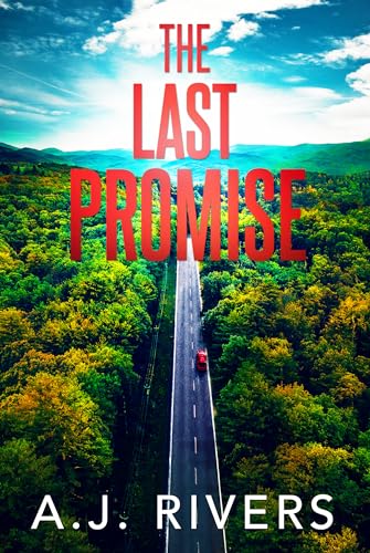 The Last Promise book cover