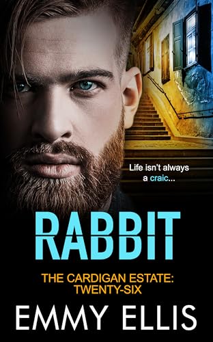 Rabbit book cover