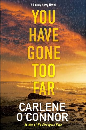 You Have Gone Too Far book cover
