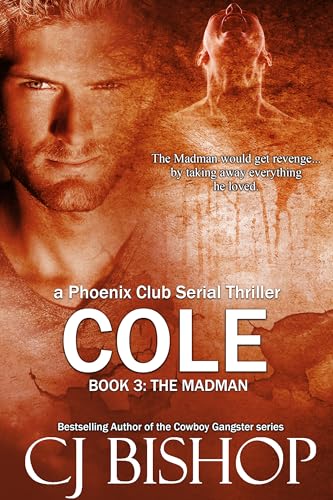 The Madman book cover