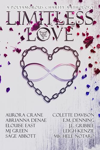 Limitless Love book cover