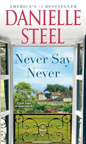 Never Say Never book cover