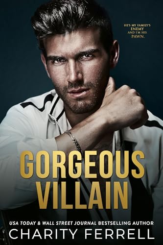 Gorgeous Villain book cover