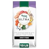 Nutro Ultra Dry Dog Food, Chicken, Lamb & Salmon Recipe, 13 lb