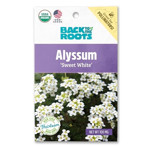 Back to the Roots 100% Organic Seed Packet - Alyssum 'White' 100mg