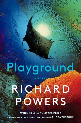Playground book cover