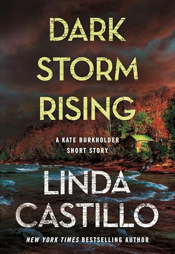 Dark Storm Rising book cover