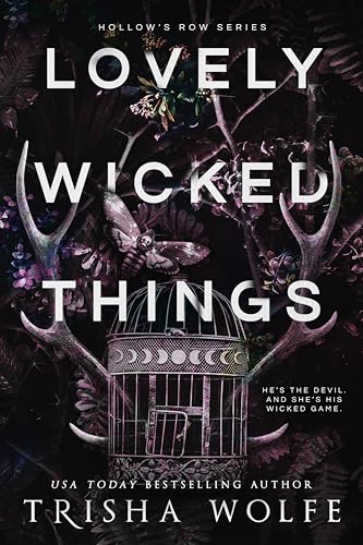 Lovely Wicked Things book cover