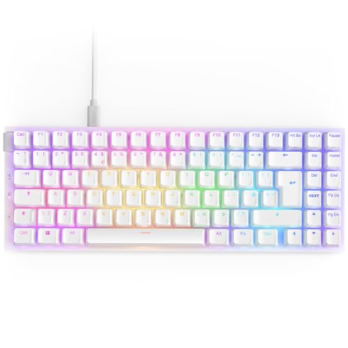 NZXT Function 2 MiniTKL - 2024 Optische Tenkeyless Gamingtastatur | RGB beleuchtet | 8K-Abfragerate | Lineare Opt. Switches | Einstellbare Auslösung | Hot-Swap 