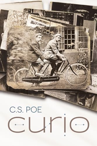 Curio book cover