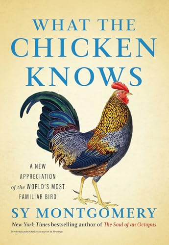 What the Chicken Knows book cover