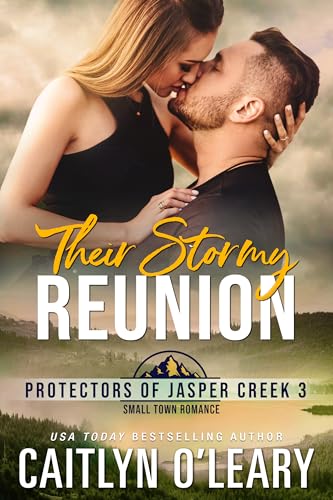 Their Stormy Reunion book cover