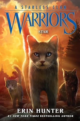 Star book cover
