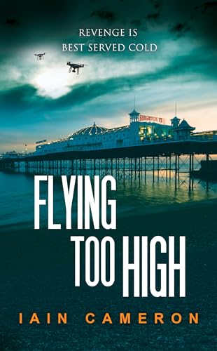 Flying Too High cover