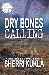 Dry Bones Calling: Dry Brook: Christian Mystery & Suspense Romance Book 2
