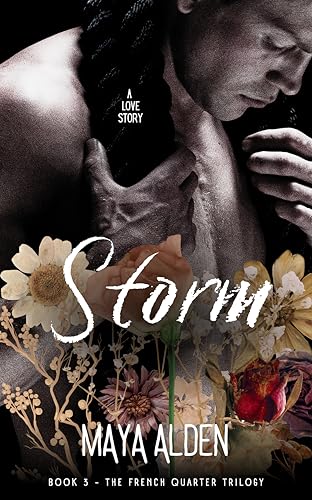 Storm book cover