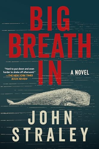 Big Breath In book cover