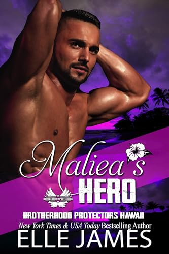 Maliea's Hero book cover