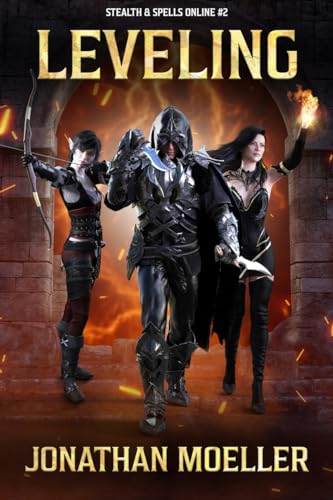 Leveling book cover