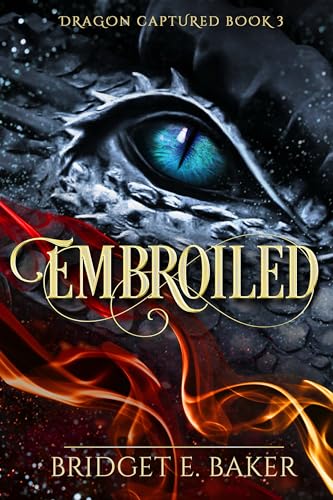 Embroiled book cover
