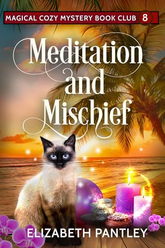 Meditation and Mischief cover