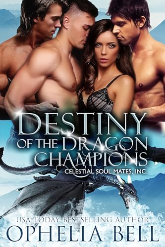 Destiny of the Dragon Champions book cover