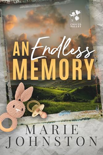 An Endless Memory book cover