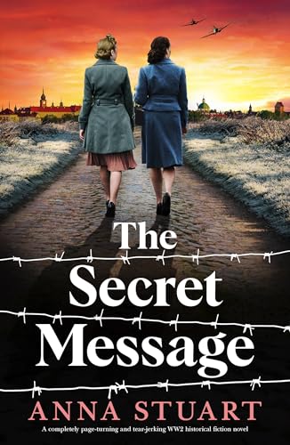 The Resistance Sisters / The Secret Message book cover