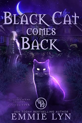 Black Cat Comes Back book cover