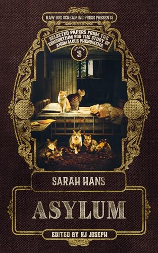 Asylum (By: Sarah Hans,Rj Joseph) cover