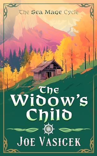 The Widow's Child book cover