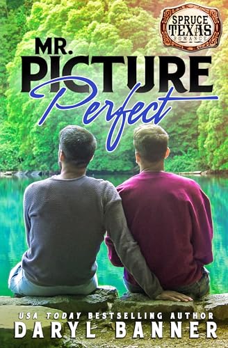 Mr. Picture Perfect book cover