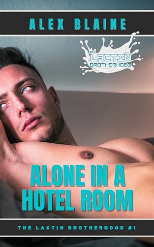Alone in a Hotel Room book cover