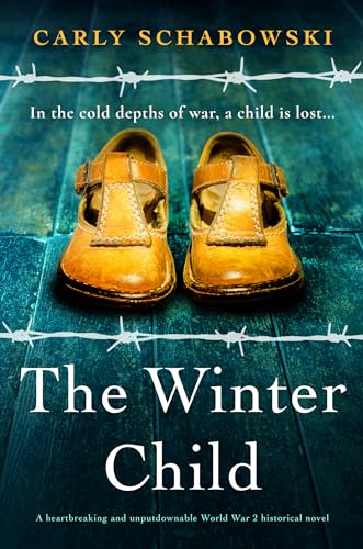 The Winter Child book cover