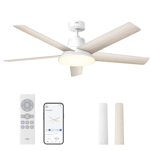 Dreo Smart Ceiling Fan with Lights Best Smart Ceiling Fan This fan comes