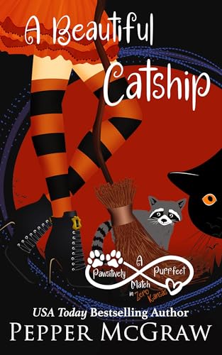 A Beautiful Catship book cover