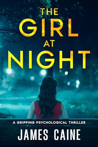 The Girl At Night book cover