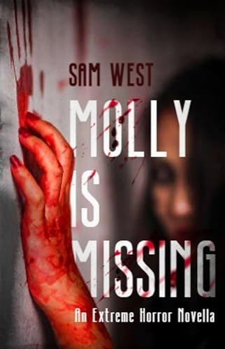 Molly is Missing book cover