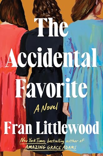 The Accidental Favorite cover