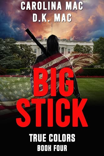Big Stick book cover