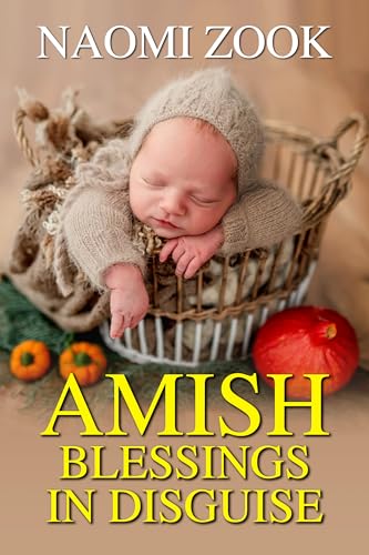 Amish Blessing in Disguise book cover