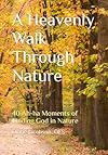A Heavenly Walk Through Nature: 40 Ah-ha Moments of Finding God in Nature