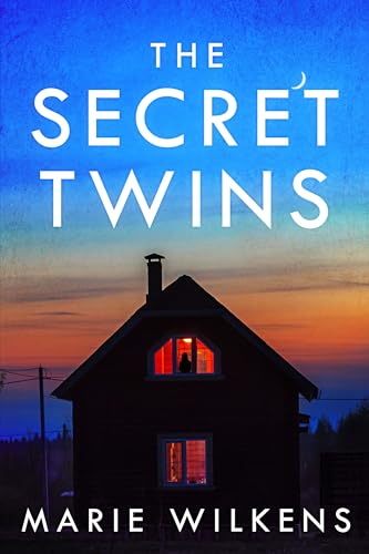 The Secret Twins book cover